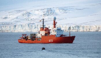 Los compuestos ‘químicos eternos’ se acumulan en las aguas de la Antártida