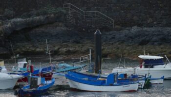 Las organizaciones ambientales exigen al Gobierno blindar el reparto justo de derechos de pesca de acuerdo con las directrices europeas