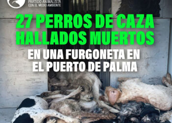 PACMA exige responsabilidades tras la muerte de 27 perros de caza asfixiados en un barco de Barcelona a Mallorca