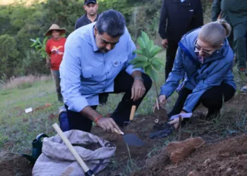 Venezuela lanza Plan Nacional de Siembra 2026 para plantar 10 millones de árboles