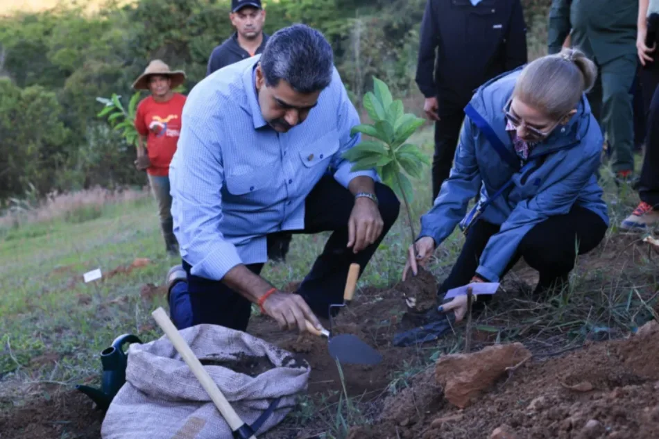 Venezuela lanza Plan Nacional de Siembra 2026 para plantar 10 millones de árboles