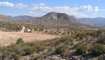 Paula Espinosa: “El nuevo decreto del Consell que permite grandes proyectos en suelo protegido es una irresponsabilidad que pone en riesgo a nuestro territorio y a sus habitantes”