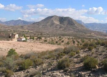 Paula Espinosa: “El nuevo decreto del Consell que permite grandes proyectos en suelo protegido es una irresponsabilidad que pone en riesgo a nuestro territorio y a sus habitantes”