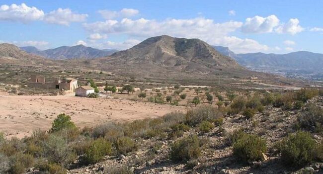 Paula Espinosa: “El nuevo decreto del Consell que permite grandes proyectos en suelo protegido es una irresponsabilidad que pone en riesgo a nuestro territorio y a sus habitantes”