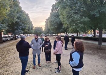 IU Sevilla exige una actuación integral en la calle Olivar de la Reina y denuncia el abandono generalizado de la zona de Rondasol