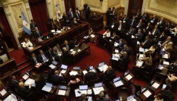 El Senado argentino da luz verde al presupuesto que cercena educación y ciencia