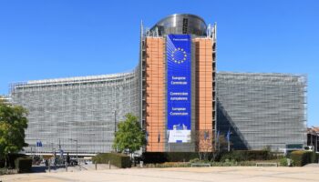 Grupos ecologistas denuncian la escasa ambición de la Ley de Restauración de la Naturaleza en los estados miembros de la UE