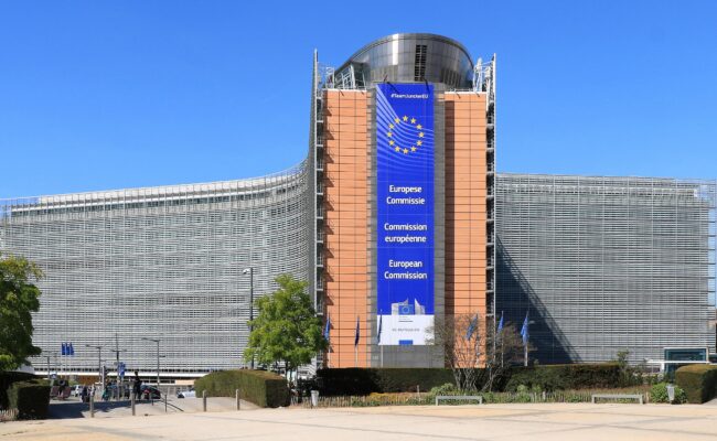 Grupos ecologistas denuncian la escasa ambición de la Ley de Restauración de la Naturaleza en los estados miembros de la UE