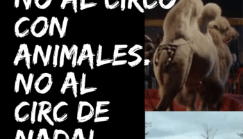 Concentración el 6 de diciembre en Valencia: «No al circo con animales, No al circ de Nadal»