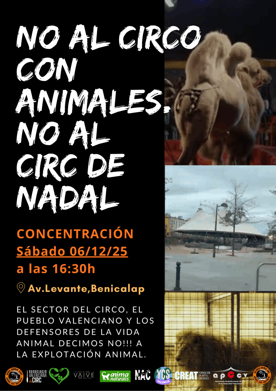Concentración el 6 de diciembre en Valencia: «No al circo con animales, No al circ de Nadal»