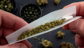 Cannabis en la adolescencia: incluso su uso ocasional se vincula a peores notas y ánimo