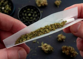 Cannabis en la adolescencia: incluso su uso ocasional se vincula a peores notas y ánimo