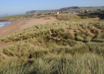 El Principado solo ordena la mitad de las playas de Verdicio en Gozón