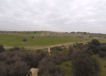 Se renueva la exposición itinerante sobre el Corredor Ecológico del Suroeste, en la Comunidad de Madrid