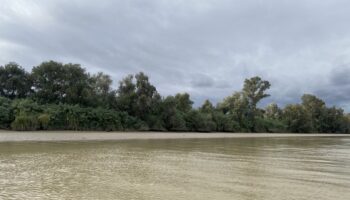 Científicos/as de las universidades de Sevilla, Cádiz y Granada piden moratoria de vertidos mineros al Guadalquivir