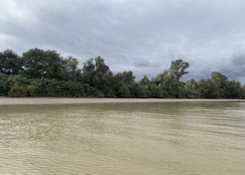 Científicos/as de las universidades de Sevilla, Cádiz y Granada piden moratoria de vertidos mineros al Guadalquivir