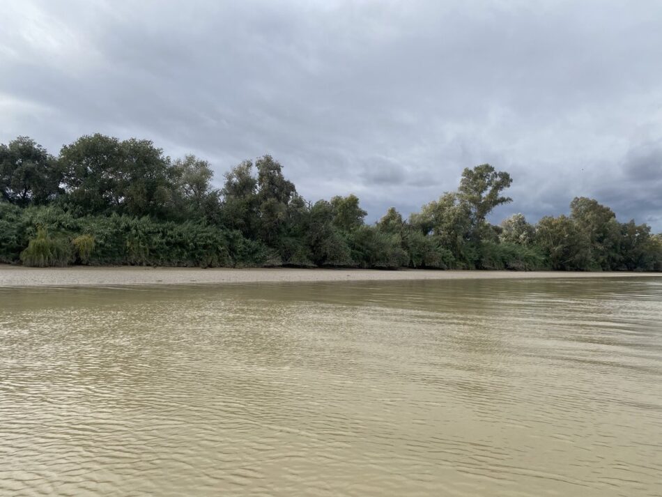 Científicos/as de las universidades de Sevilla, Cádiz y Granada piden moratoria de vertidos mineros al Guadalquivir