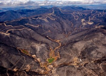 Esquerda Unida esixe medidas de recuperación dos montes queimados