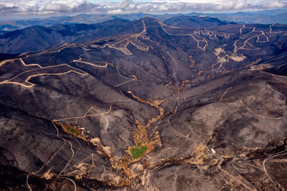 Esquerda Unida esixe medidas de recuperación dos montes queimados
