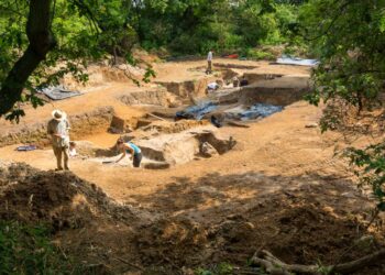 Humanos del este de Inglaterra ya controlaban el fuego hace 400.000 años