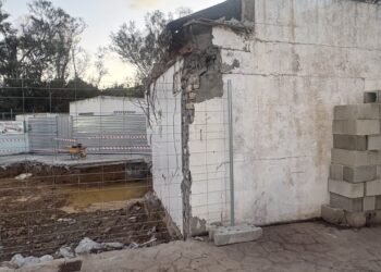 La Protectora de Animales de Ceuta denuncia el poco apoyo institucional al bienestar animal