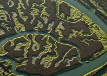 Imágenes de satélite indican que la marisma de Doñana podría desaparecer en 60 años