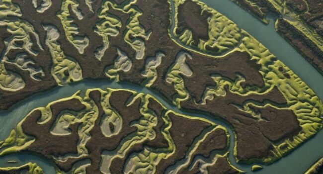 Imágenes de satélite indican que la marisma de Doñana podría desaparecer en 60 años