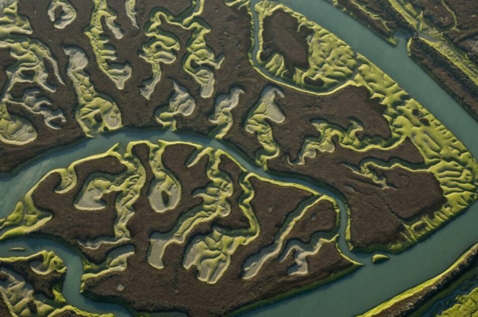 Imágenes de satélite indican que la marisma de Doñana podría desaparecer en 60 años