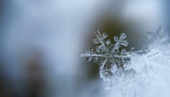 La física de los copos de nieve: ¿es cierto que no existen dos iguales?