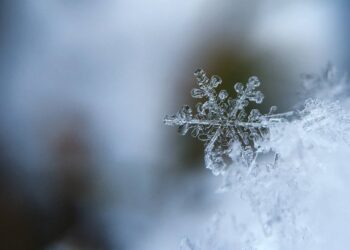 La física de los copos de nieve: ¿es cierto que no existen dos iguales?