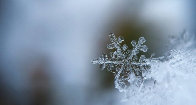 La física de los copos de nieve: ¿es cierto que no existen dos iguales?