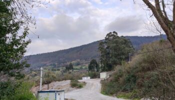 Coordinadora Ecoloxista d’Asturies convoca su trigésima tercera edición del premio La Bullada Purpurina