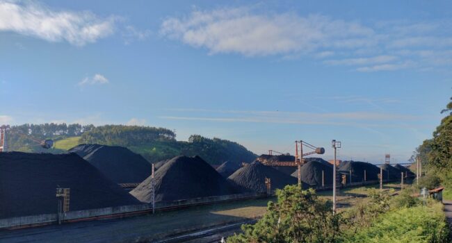 Coordinadora Ecoloxista d’Asturies: «Los impactos de la planta de metanol del Musel que no se tienen en cuenta»