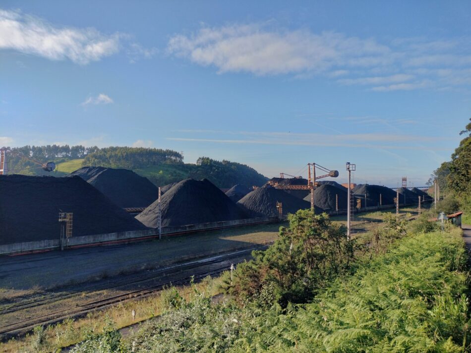 Coordinadora Ecoloxista d’Asturies: «Los impactos de la planta de metanol del Musel que no se tienen en cuenta»