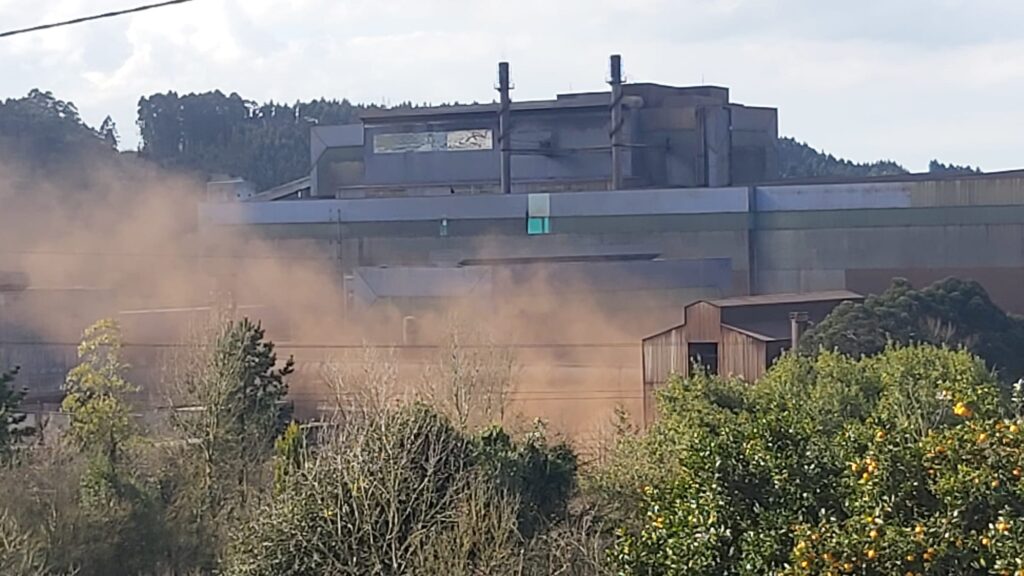 Arcelor. Penacho Rojo 