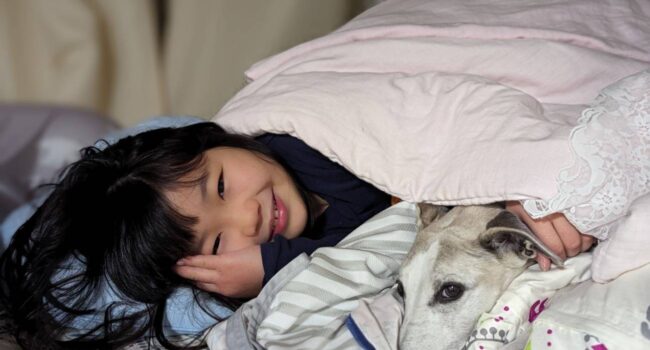 Tener un perro puede reforzar la empatía y la salud mental de los adolescentes