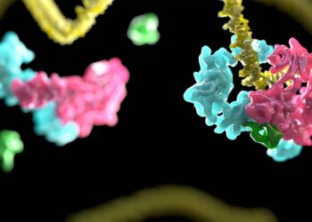 Una terapia génica para la anemia de Fanconi recibe la designación de medicamento huérfano en Europa