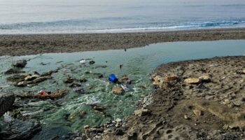El Partido Verde Andaluz exige a la Junta que garantice el acceso público a los datos sobre la calidad del agua de baño en Granada