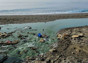 El Partido Verde Andaluz exige a la Junta que garantice el acceso público a los datos sobre la calidad del agua de baño en Granada