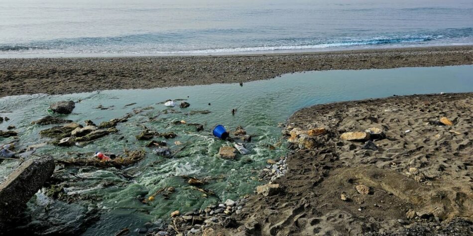 El Partido Verde Andaluz exige a la Junta que garantice el acceso público a los datos sobre la calidad del agua de baño en Granada