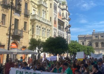 USTEA lamenta el rechazo del Parlamento andaluz a la ley para reducir las ratios en las aulas