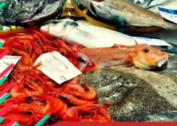 Calculadora navideña: ¿cuánto aumenta el consumo de pescado y cuáles son las alternativas?