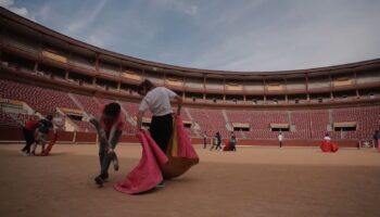 Partido Verde (Equo) crítica la subvención de la Diputación a la Escuela Taurina de Córdoba por promover la crueldad contra los animales