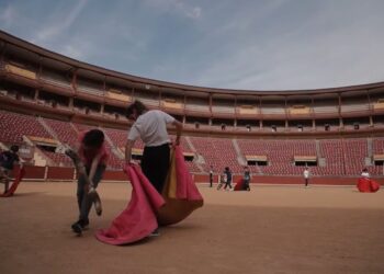 Partido Verde (Equo) crítica la subvención de la Diputación a la Escuela Taurina de Córdoba por promover la crueldad contra los animales