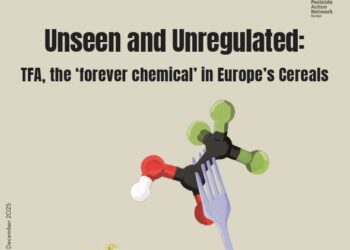 Un PFAS persistente y tóxico para la reproducción contamina los alimentos de cereal, según un estudio europeo