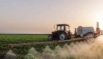 El ómnibus alimentario permite plaguicidas tóxicos ilimitados y pone en riesgo a la población