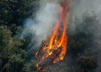 Alerta roja y evacuaciones en norte de Chile por incendio forestal