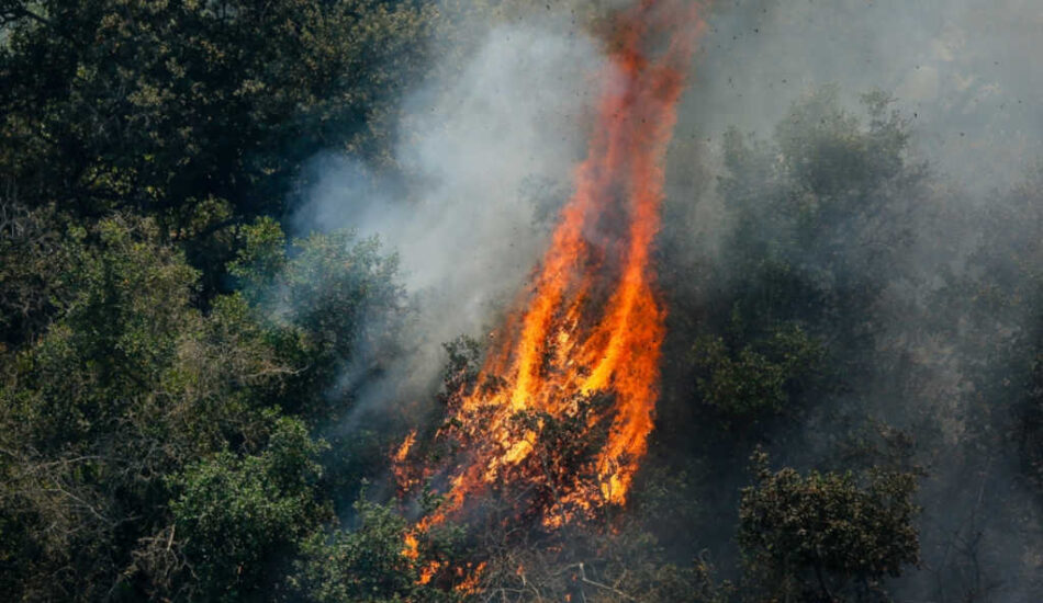 Alerta roja y evacuaciones en norte de Chile por incendio forestal