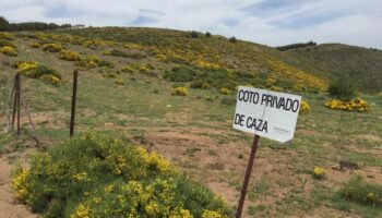 La Plataforma Ecologista Madrileña denuncia que el Anteproyecto de Ley de Caza y Pesca de la Comunidad de Madrid perpetúa un modelo obsoleto y alejado de la conservación