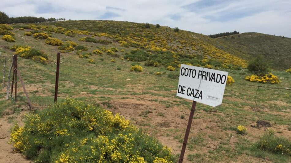 La Plataforma Ecologista Madrileña denuncia que el Anteproyecto de Ley de Caza y Pesca de la Comunidad de Madrid perpetúa un modelo obsoleto y alejado de la conservación